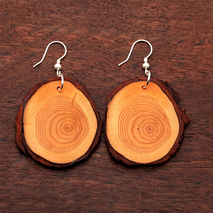 Lärche 1 Ohrringe Holzschmuck aus Naturholz