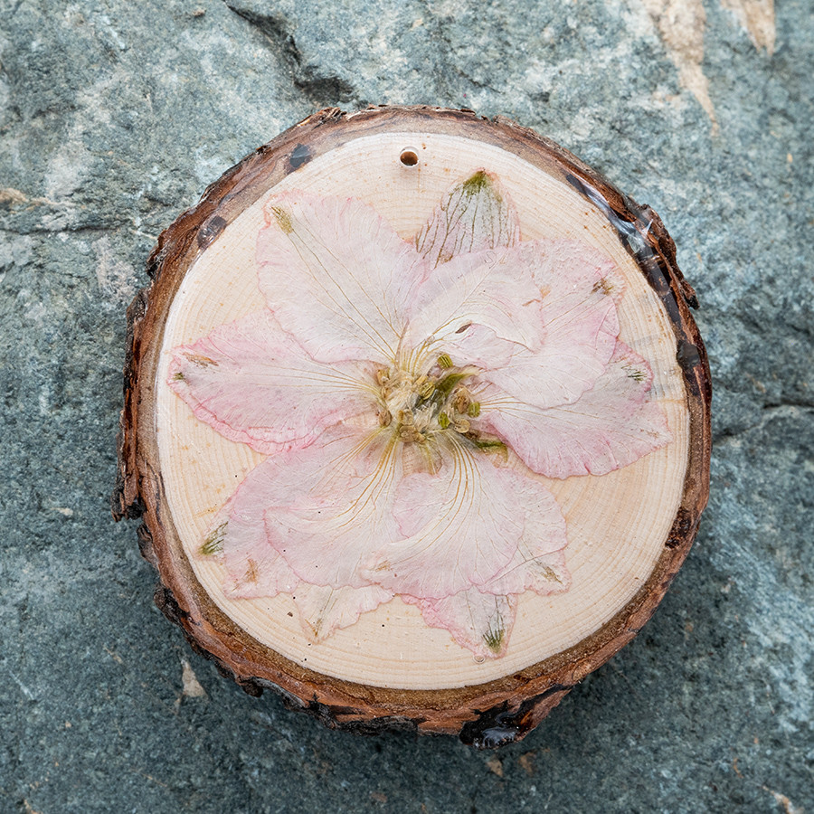 Zirbenblüte 5261 Kette Holzschmuck aus Naturholz
