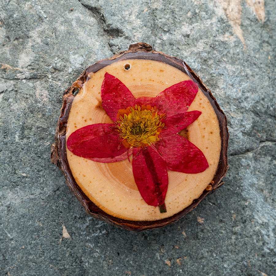 Zirbenblüte 5269 Kette Holzschmuck aus Naturholz