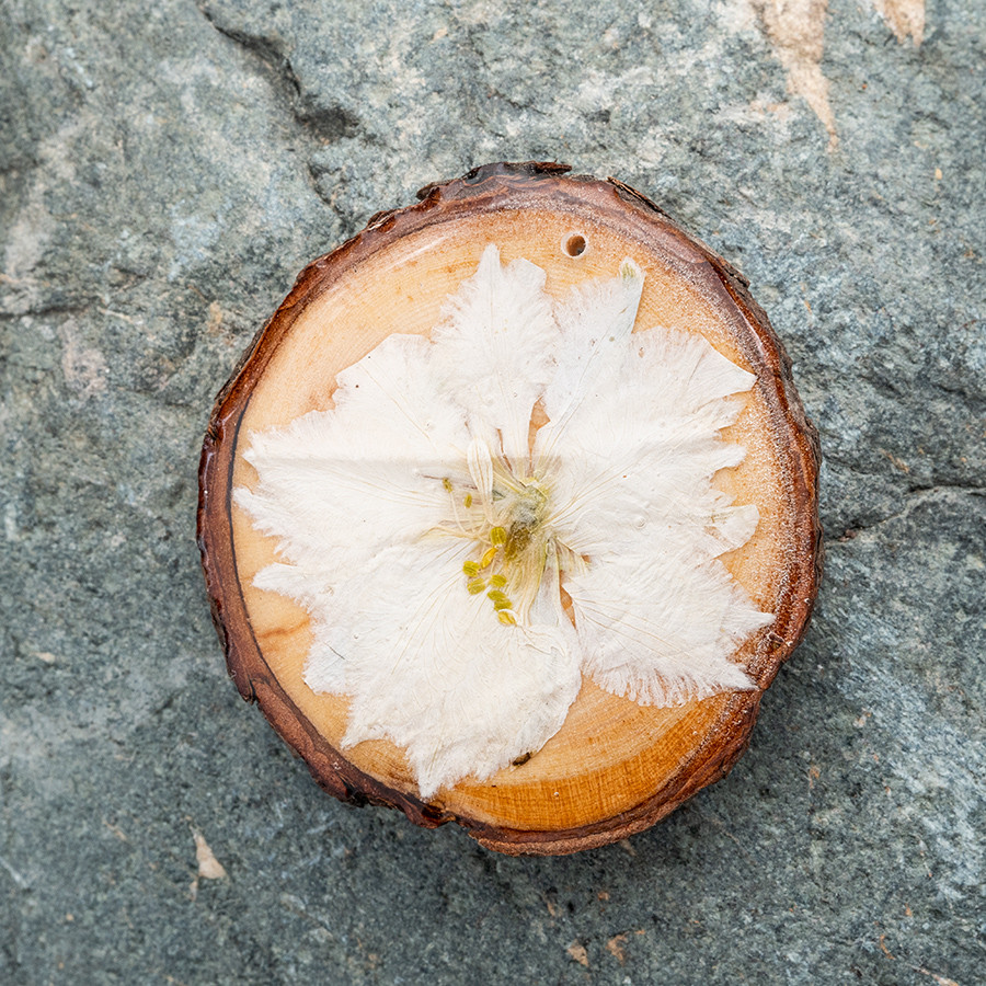 Zirbenblüte 5288 Kette Holzschmuck aus Naturholz